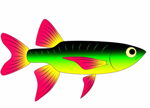 五顏六色的玩具魚
