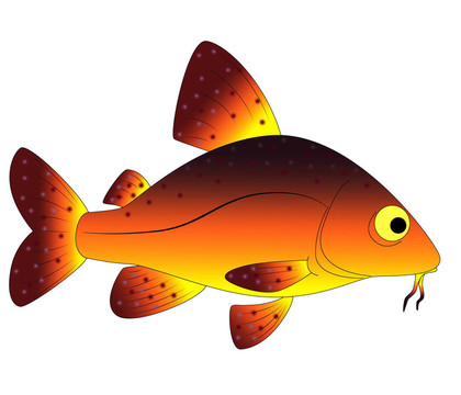五顏六色的玩具魚