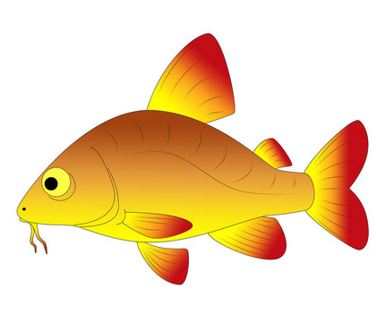 五顏六色的玩具魚
