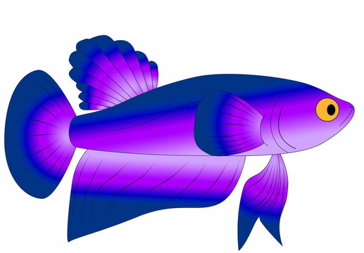 五顏六色的玩具魚