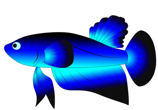 五顏六色的玩具魚