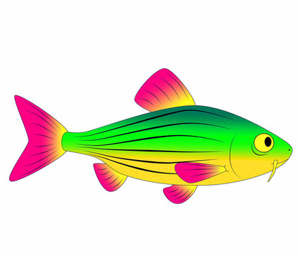 五顏六色的玩具魚