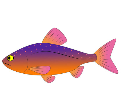 五顏六色的玩具魚(yú)