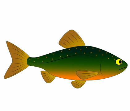 五顏六色的玩具魚