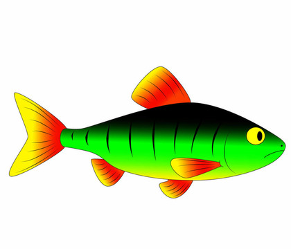 五顏六色的玩具魚(yú)