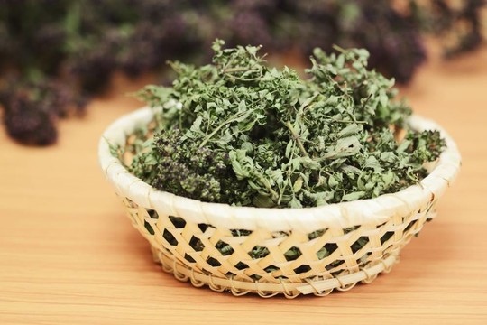 干草藥野生百里香和牛至