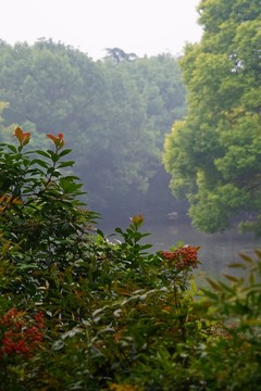 江南風(fēng)景