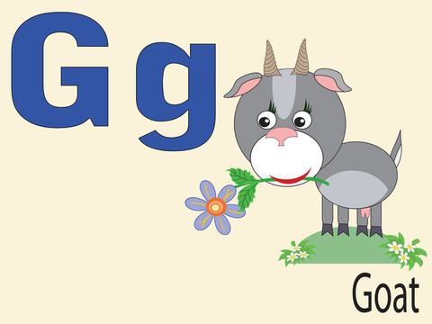動(dòng)物字母G