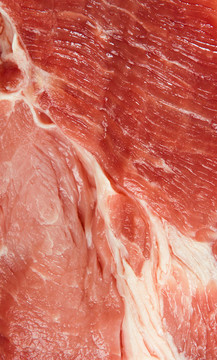 原多汁的肉