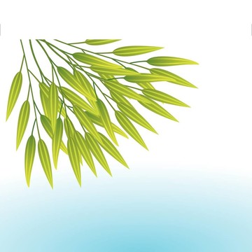 竹葉水