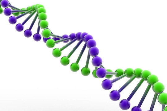 DNA
