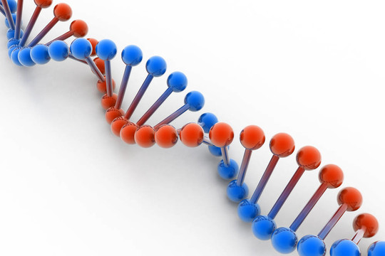 DNA