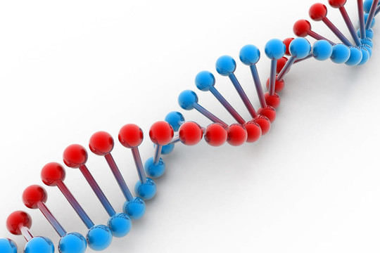 DNA