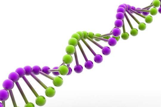 DNA