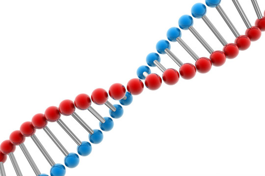 DNA