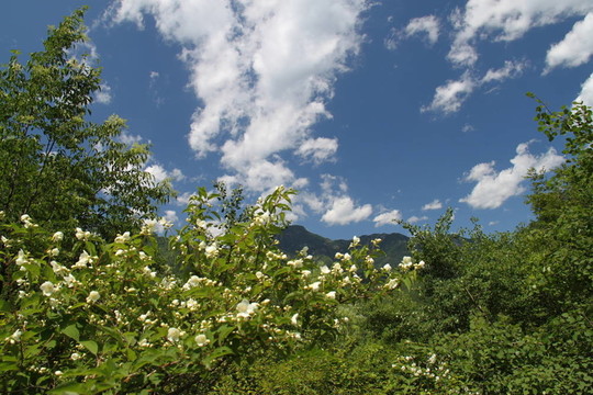 JIANKOU；中國(guó)長(zhǎng)城
