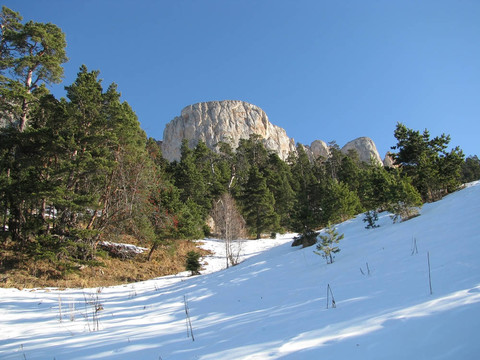 山