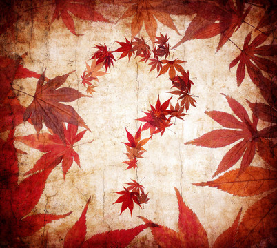 樹(shù)葉做的問(wèn)號(hào)