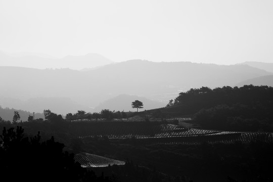 水墨田園