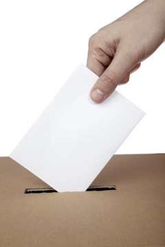 選票投票框政治選擇選舉