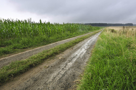 農(nóng)村公路
