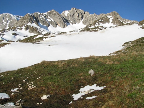 山