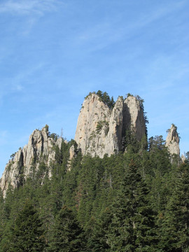 木材