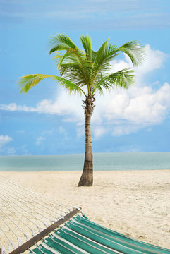 海灘場景