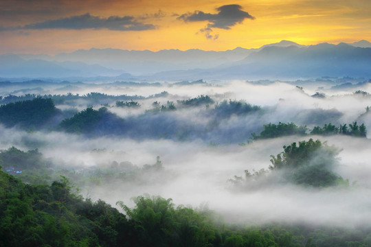 清晨的高山和樹
