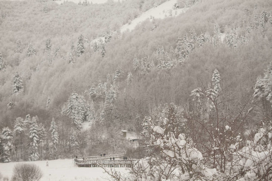 冬天下雪的時(shí)候在Abant湖