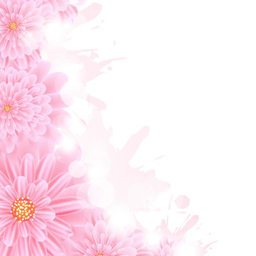 Pink Gerber和油漆飛濺