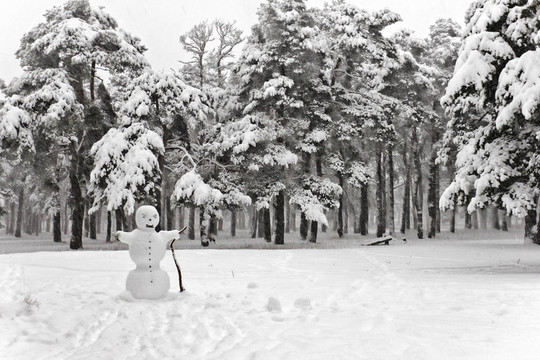 雪人在下雪