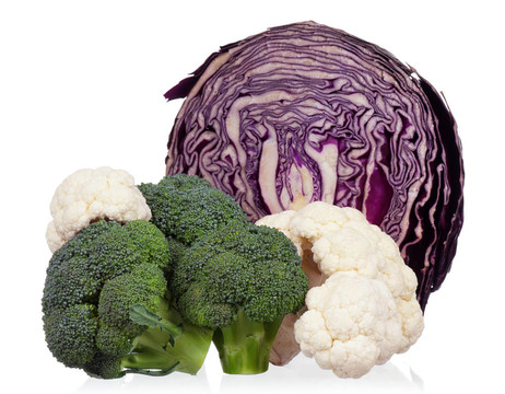 新鮮的cabbage_