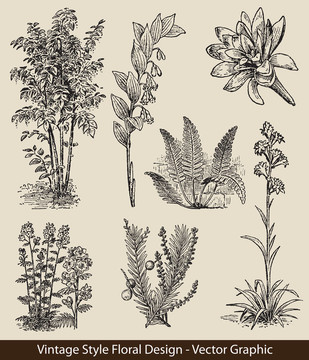 設(shè)置植物和花