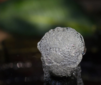 純水和水泡泡