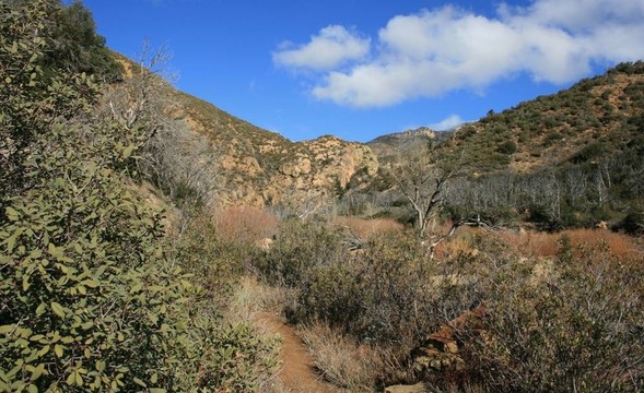 約翰TRAIL Potrero全景2