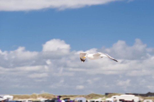 海灘上的St. Peter Ording
