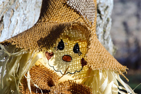 Straw和Burlap Hat的稻草人