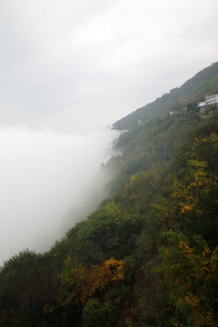 山區(qū)云霧