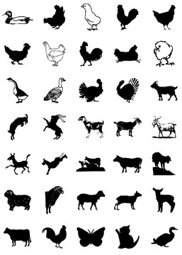 圖標的動物