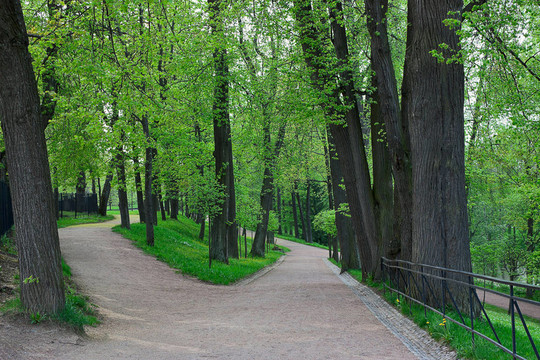 在Peterhof的公園