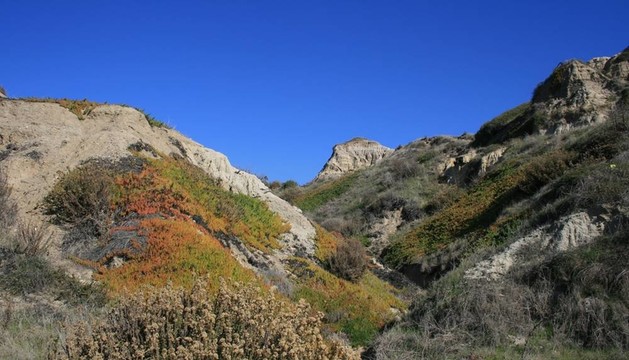 圣克萊門(mén)特地質(zhì)4