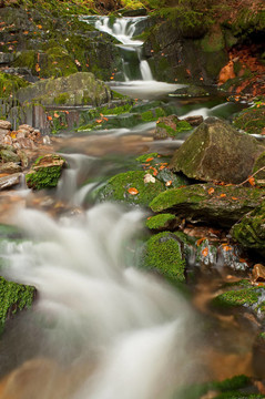 美麗的Autumnm Waterfall