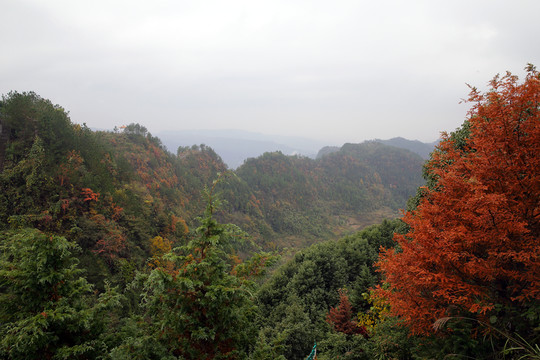 開(kāi)縣九龍山秋景