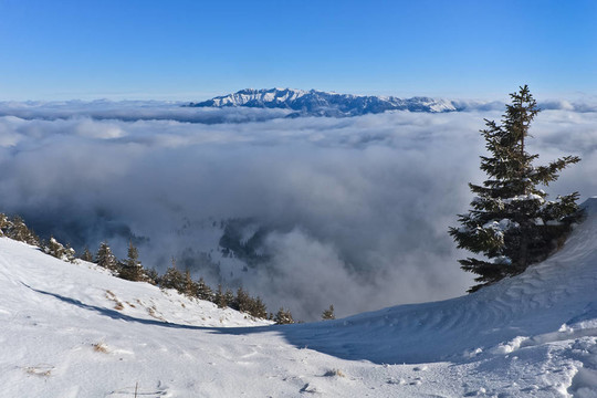 冬天的山地景觀