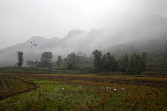 農(nóng)村風景
