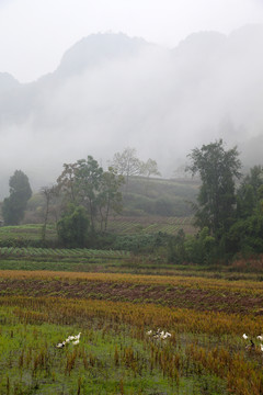 山間晨霧
