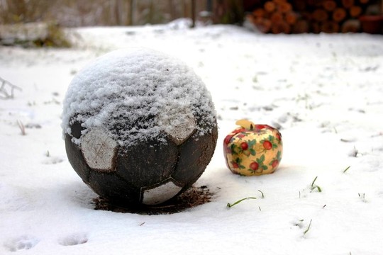 圣誕蘋果和雪中的足球