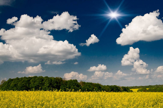 最好的rapefield和Cloudscape。