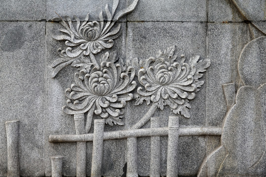 菊花圖